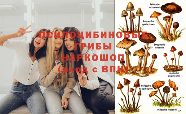 мет Михайлов