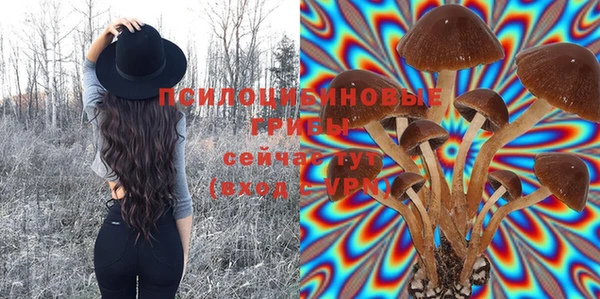 мет Михайловск